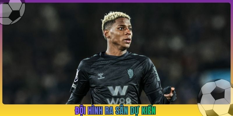 Đội hình ra sân dự kiến